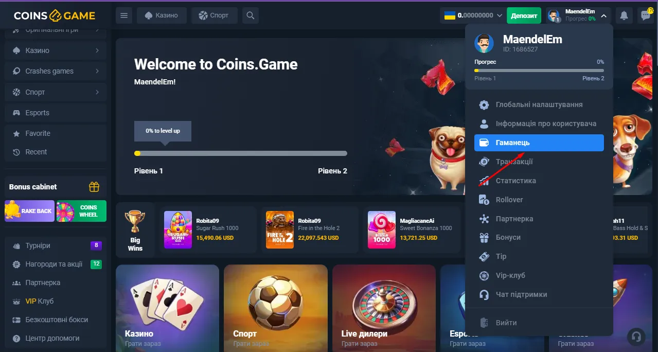 Вивід грошей з казино coin gamе